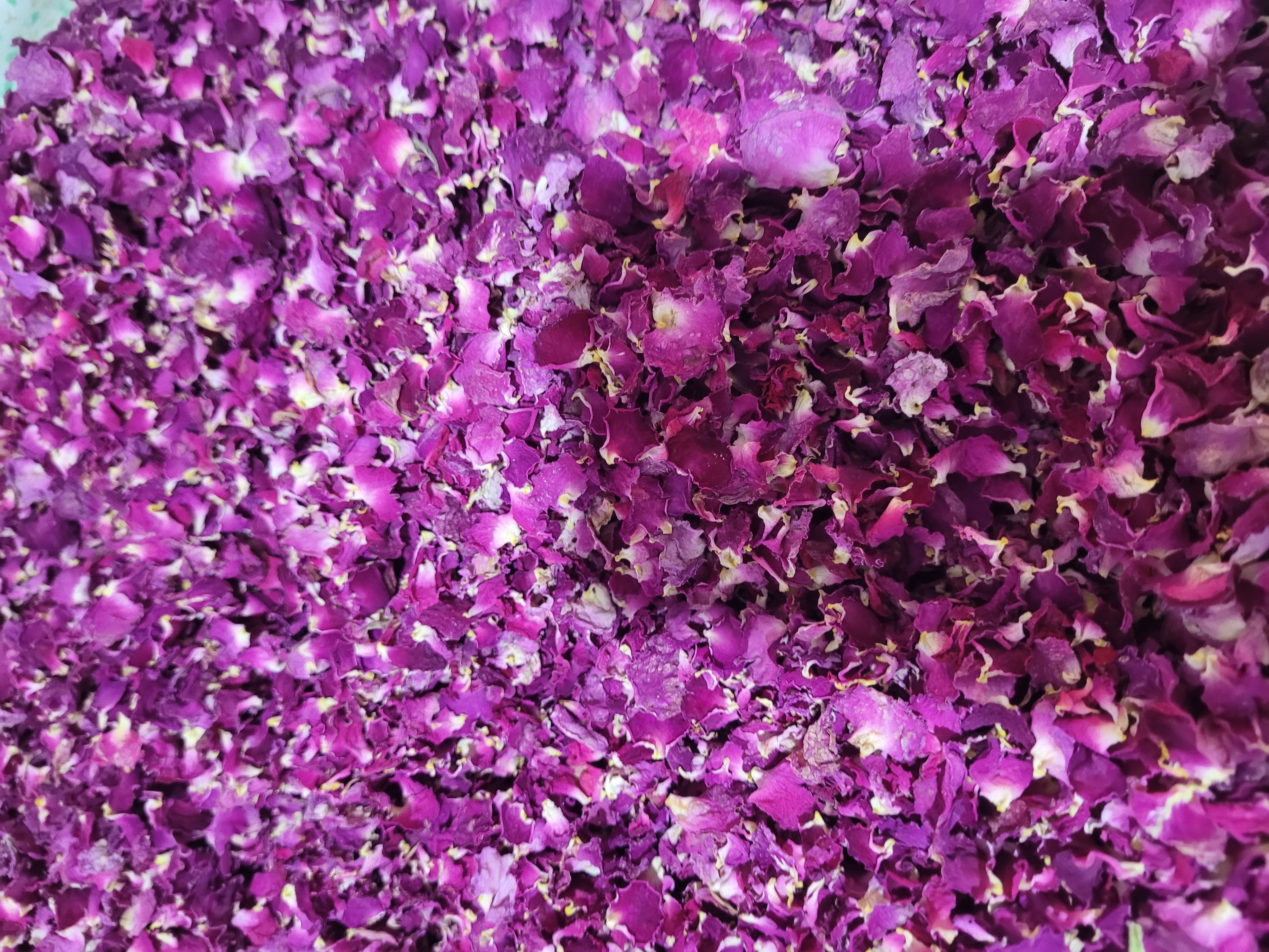 دمنوش گل محمدی نشاط آور